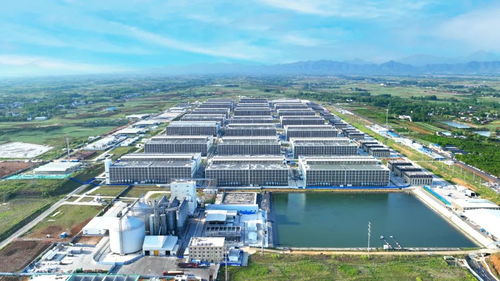 逐綠而行 河南加快構(gòu)建廢棄物循環(huán)利用體系 投資興辦實業(yè)